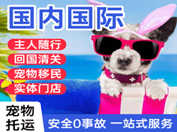 龙洞堡航空托运国际宠物托运 【国